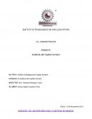 ENSAYO DE AUDITORIA DEL CAPITAL HUMANO