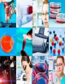 Manual de toma de muestras biológicas.