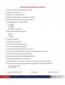 Empresa- Cuestionario