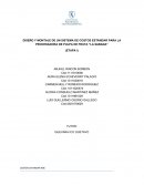 DISEÑO Y MONTAJE DE UN SISTEMA DE COSTOS ESTÁNDAR PARA LA PROCESADORA DE PULPA DE FRUTA “LA SABANA”