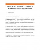 OPINION TECNICA JURÍDICA DE LA AUDIENCIA DE PROPOSICIÓN DE PRUEBA