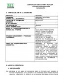 IDENTIFICACION DE LA ASIGNATURA