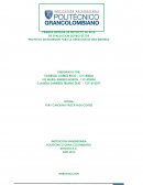 Trabajo evaluación de proyectos