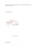 Creación de marca: S.M.A: Servicios Múltiples Alpin