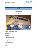 ANALISIS DE ENTORNO EMPRESARIAL CASSINELLI
