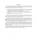 Conclusion tema la situación de la empresa BIKOR