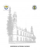 BIOLOGÍA Y ECOLOGÍA MICROBIANA: TÉCNICA DE TINCIÓN DE GRAM