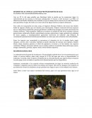 REFORESTAR LAS CUENCAS, CLAVE PARA PROTEGER MANTOS DE AGUA