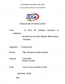 Proyecto De Desarrollo - Léxicco amazónico