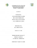 DEPARTAMENTO DE QUÍMICA QUIMICA Y LABORATORIO I