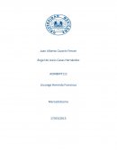 Analisis de revista merca 2.0