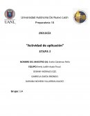 BIOLOGÌA “Actividad de aplicación”