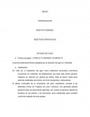 Proyecto - Administraciony Gestion Publica