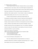 LA FERMENTACIÓN ALCOHÓLICA