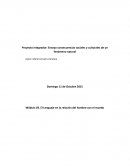 Proyecto integrador: Ensayo consecuencias sociales y culturales de un fenómeno natural