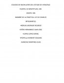 PRÁCTICA: LEY DE CHARLES