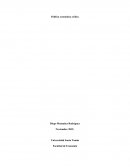 Política económica - cíclica