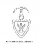 Métodos y técnicas de investigación en las ciencias sociales