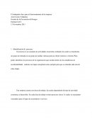 El trabajador clave para el funcionamiento de la empresa. Gestión de la Prevención de Riesgos