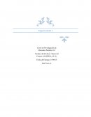 Informes- Investigacion de mercados