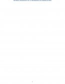 Tema- Aspectos de un director