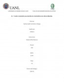 Actividad artes. Cuadro comparativo que describa las características de culturas diferentes