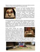 Reporte de visita al museo de antropología