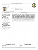 SANFAINA, Turorial de preparación