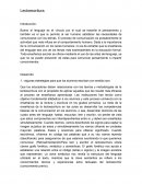 Lectoescritura. Algunas estrategias para que los alumnos escriban con sentido son