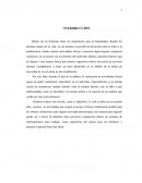 Trabajo de Deporte- La educacion fisica