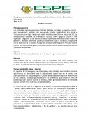 Analisis conyuntural de Siria