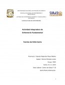 Actividad integradora de Enfermería Fundamental Teorías de Enfermería