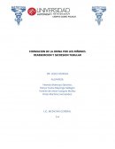 FORMACIÓN DE LA ORINA POR LOS RIÑONES - TRABAJO