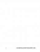 Caso empresa Izzi Telecom, S.A.B. de C.V