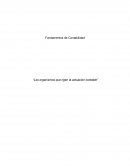 ORGANISMOS QUE RIGEN LA ACTUACIÓN CONTABLE. La contabilidad
