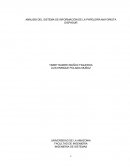 ANÁLISIS DEL SISTEMA DE INFORMACIÓN DE LA PAPELERÍA MAYORISTA DISPASUR