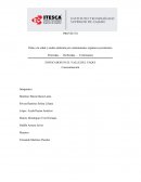 Daño a la salud y medio ambiente por contaminantes orgánicos persistentes