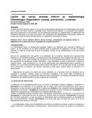 Lesión del nervio alveolar Inferior en Implantología