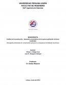 Análisis de la producción, demanda y pronósticos de la quinua aplicando mínimos cuadrados