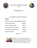 Actividad de metacognicion Español I