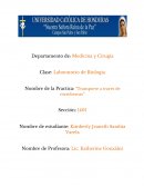 Laboratorio de bio transporte a traves de Membrana