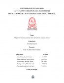 Migraciones internas y externas de los salvadoreños. Causas y efectos