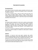 Descripción de puestos de restaurante