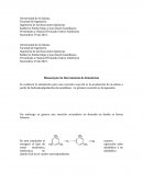 Manual para la Herramienta de Simulación