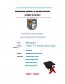 PRACTICA N° 3 Hidrocarburos (Alcanos, Alquenos, Alquinos y Aromáticos)