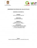 Análisis de sistemas - Trabajo