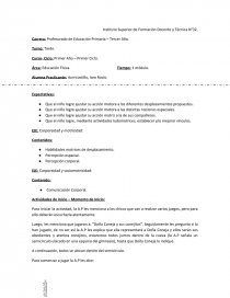 Plan de trabajo del profesor Educación Física. Página 1