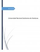 Microeconomía y Macroeconomía Teoría Microeconómica