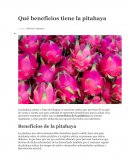 Que beneficios tiene la pitahaya