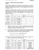 COSTO DE CAPITAL POR DIVISION